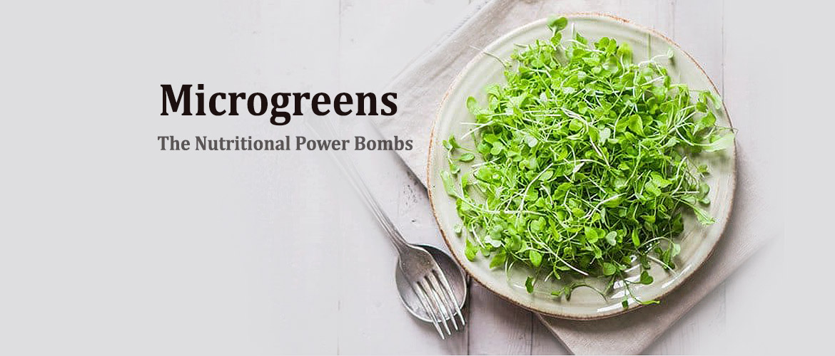 Microgreens: Nutrient Powerhouse for Urban Health