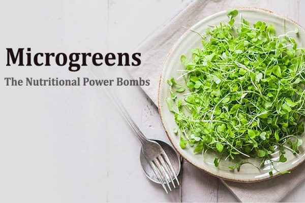Microgreens: Nutrient Powerhouse for Urban Health